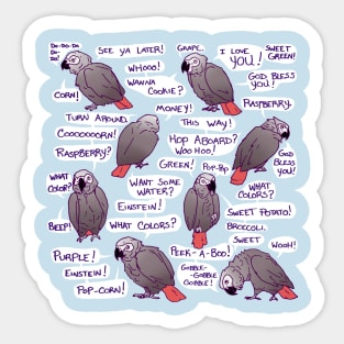 African Grey Parrot Einstein Funny Quotes Sticker